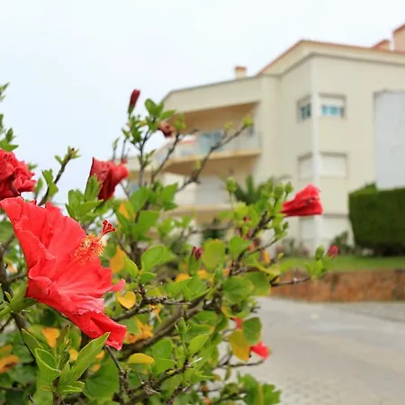 Casas Da - Sunset